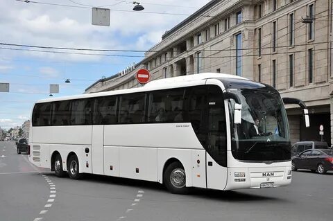 Автобусы воронеж петербург