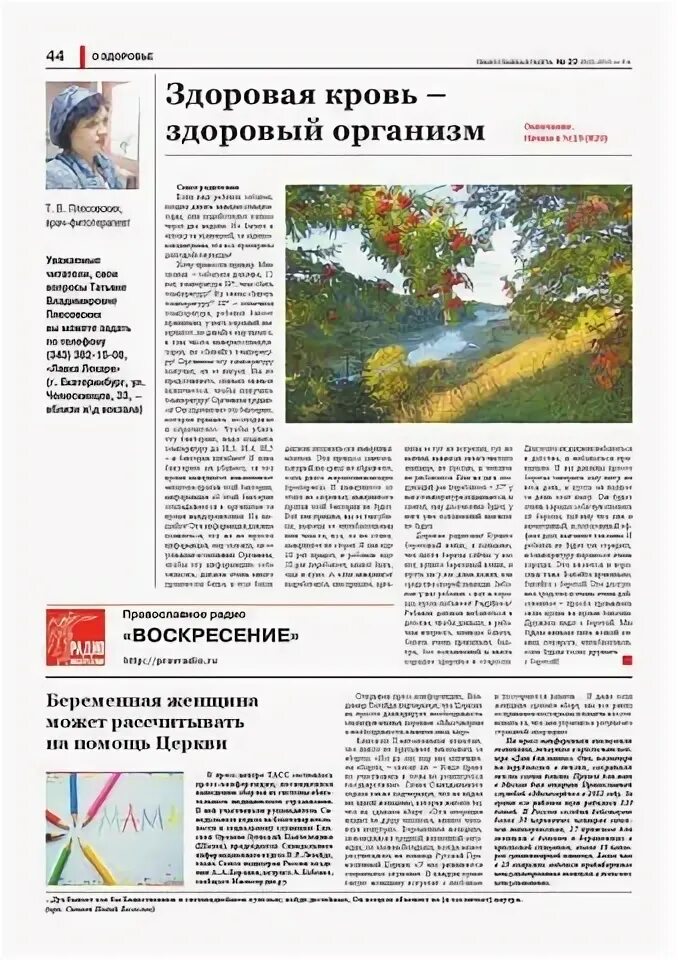 осина плесовских