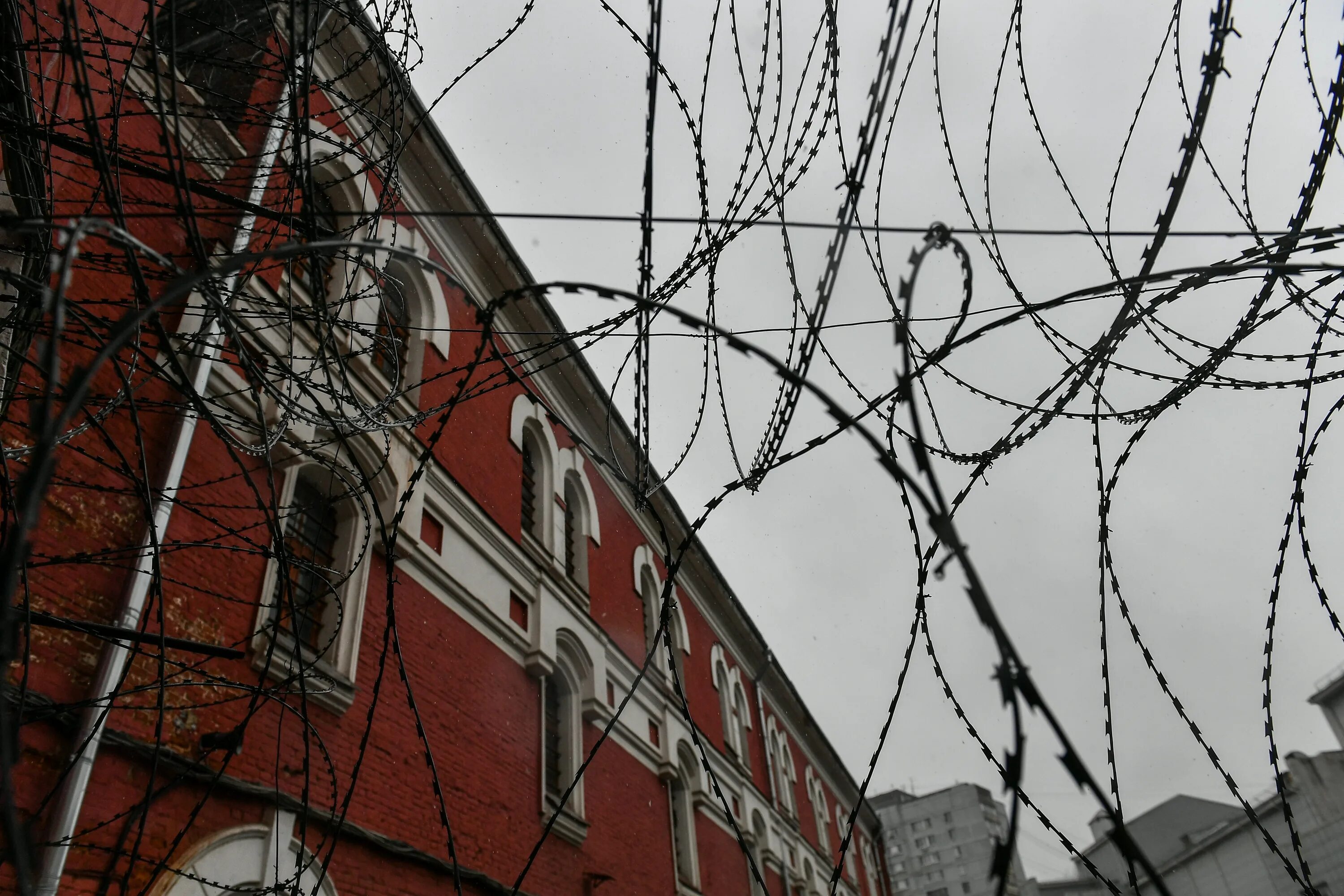 Сизо е