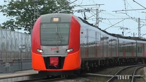 Ласточка краснодар кавказская