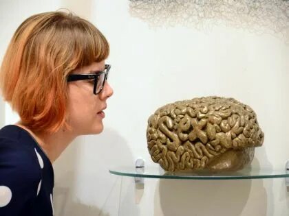 Уменьшение мозга человека