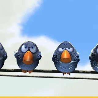 For the birds