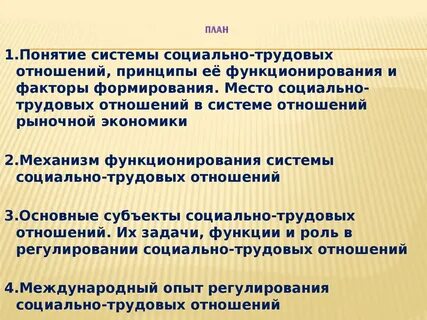 Система социально трудовых отношений в организации