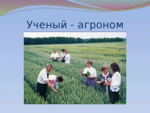 Чем агроном полезен обществу. Агроном профессия. Ученый агроном. Профессия агроном проект. Кто такой агроном.