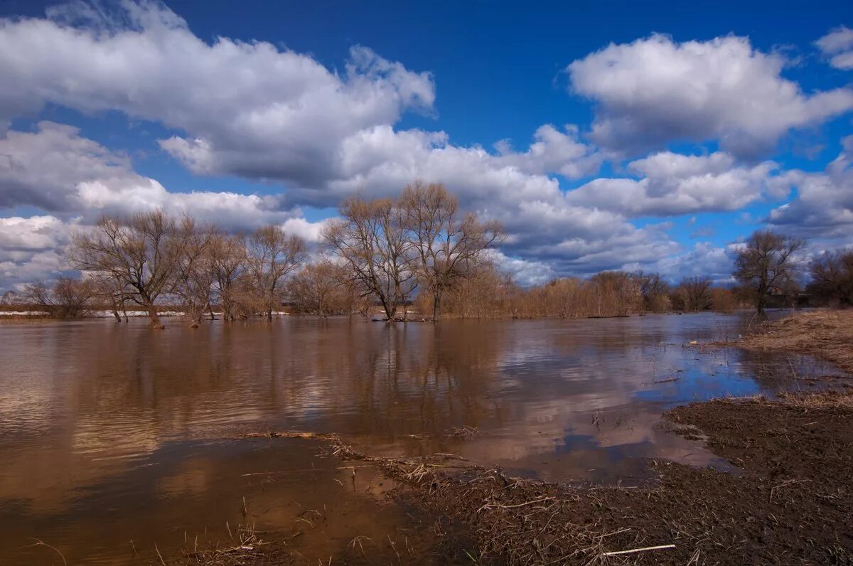 сестрорецкий разлив половодье. река разлилась. разлив реки. весенний разлив дона. разлив реки крапивна.