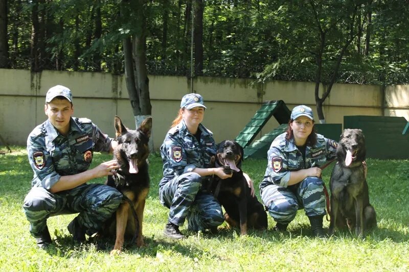 Московских кинолог. ЦКС УВД по САО. Кинологическая служба ГУ МВД. ЦКС ГУ МВД России. САО Кинологическая служба полиции России.