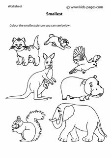 I like small animals