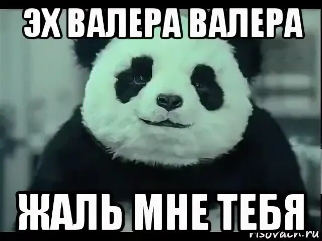 Мне жаль на английском