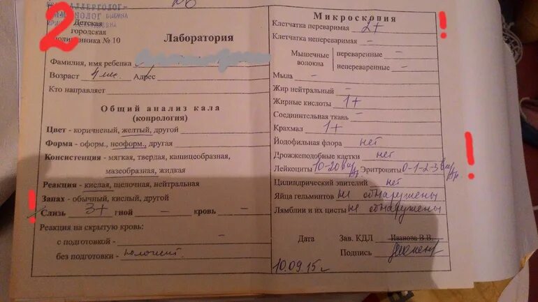 Подготовка к сдаче копрограммы. Копрограмма. анализ на копрологию. анализ кала на копрологию подготовка. направление на копрологию направление.