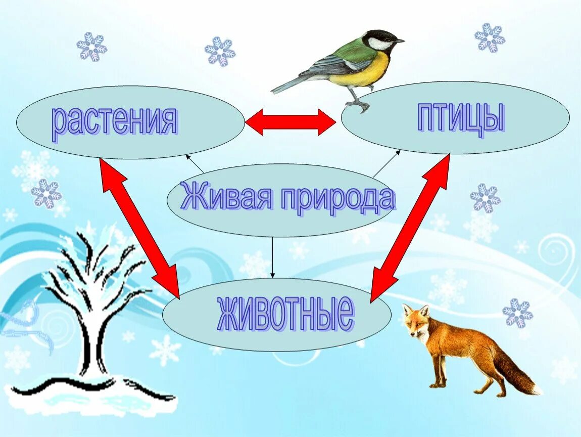 Невидимые нити окружающий мир рисунок