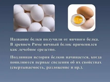Что содержится в курином белке
