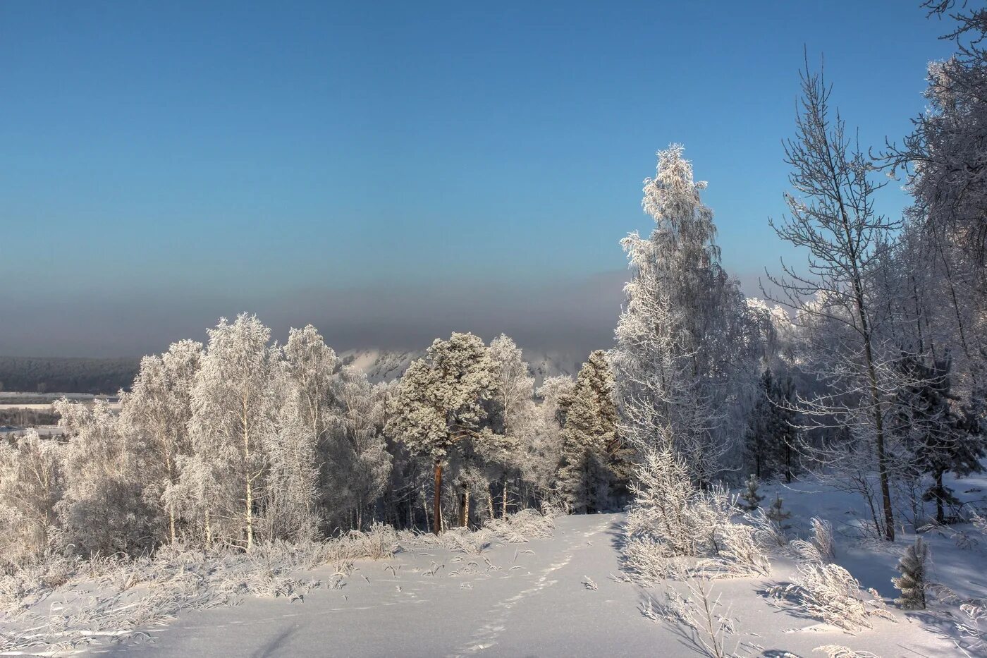 Тайга Железногорск Красноярский край. Сибирь Железногорск Красноярский край. Железногорск,Красноярский край зима город. Железногорск Красноярский край зима. Родной край красноярского края