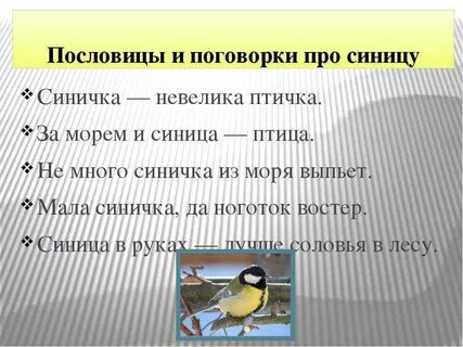 Пословица сила птицы в крыльях