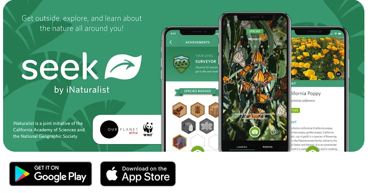 Приложение seek. Seek INATURALIST. INATURALIST приложение. Seek программа распознавания растений.