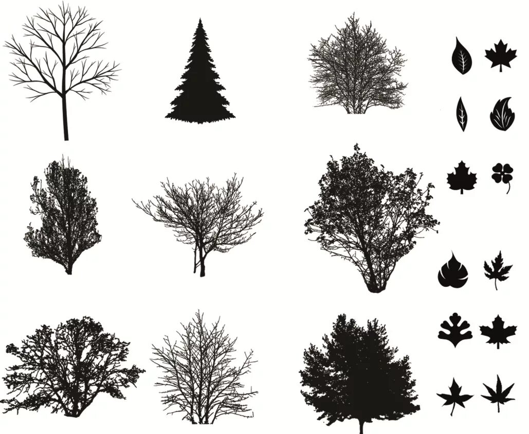 Декоративное дерево силуэт. Силуэт дерева. Силуэт дерева на прозрачном фоне. Дерево эскиз. Векторное дерево.