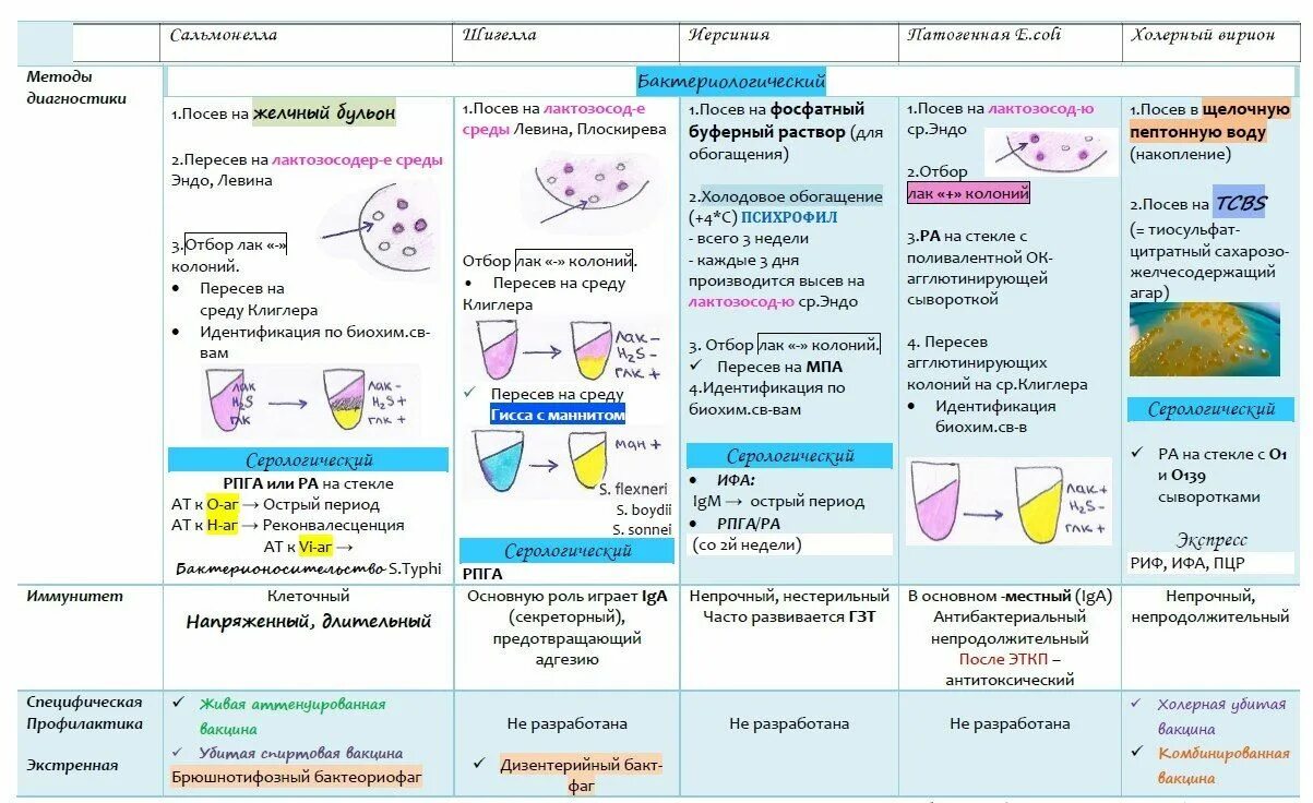 Микробиология в таблицах. Вирусные инфекции микробиология таблица. Бактериальные кишечные инфекции таблица по микробиологии. Микробиология в таблицах. Кишечные инфекции микробиология таблица.
