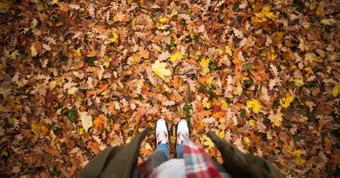 Without fall