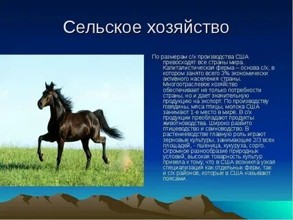 Хозяйство сша кратко