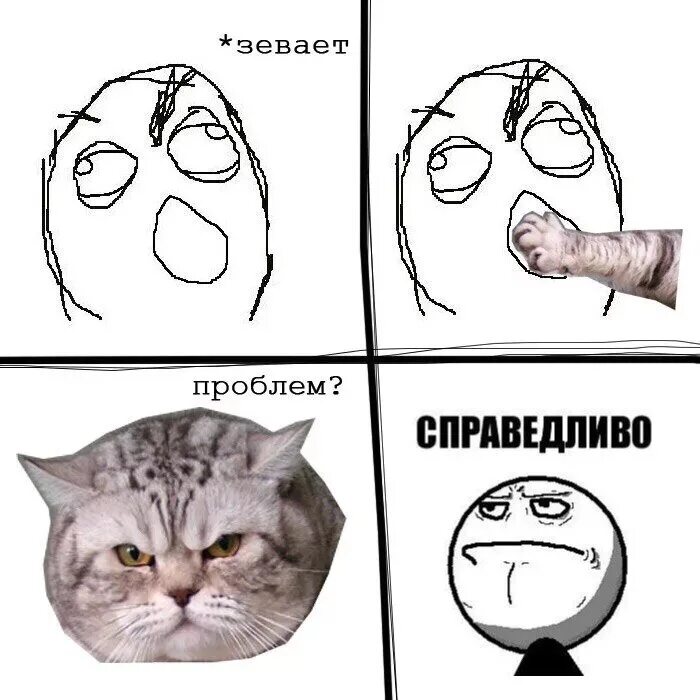 Ржачные коты мемы. Мемы. мемы приколы. мемы с котом. смешные мемы с котами.