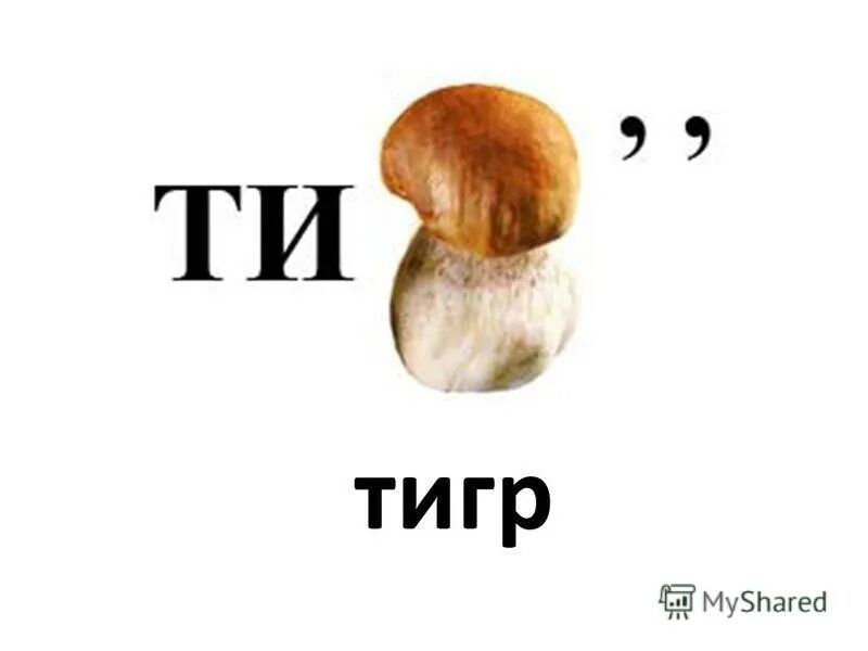 Разгадать ребус гриб. Ребус на тему грибы. Ребусы про грибы. Ребус по биологии про грибы. Ребусы про грибы 5 класс по биологии.