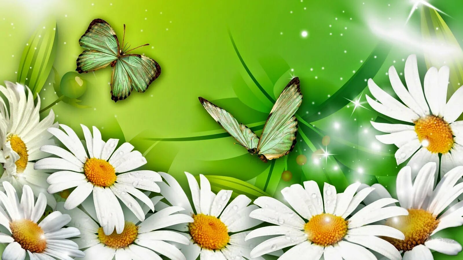 Красивый зеленый фон с узорами. E777 зелёные розы. С днем рождения на зеленом фоне. С днем рождения на зеленом фоне. С днем рождения на зеленом фоне.