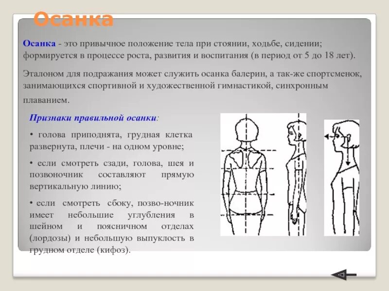 Положение тела при котором плечи. Привычное положение тела при стоянии сидении и ходьбе. осанка. осанка это привычное положение тела. осанка это привычное положение тела при сидении стоянии ходьбе это.