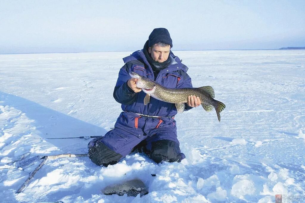 Рыбалка в хмао югра. Хмао каменное рыбалка. Рыбалка в хмао югра. Озеро эндра в ханты-мансийске рыбалка. Рыбалка в хмао югра.