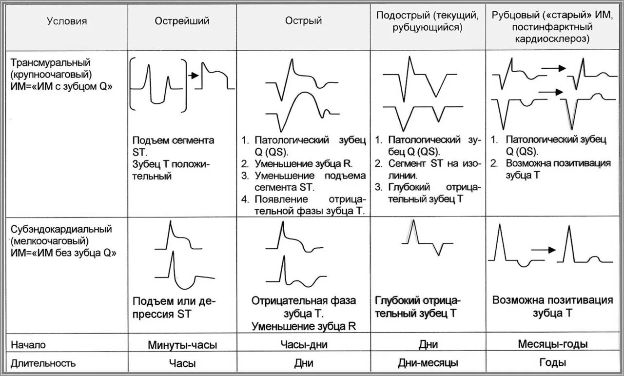 Диагноз сегмент