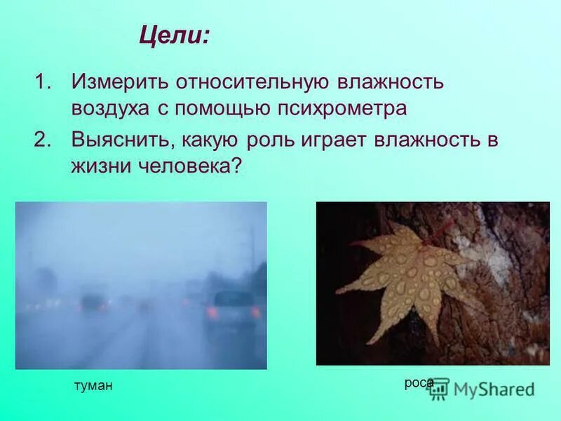 какую роль осадки играют в жизни человека. какую роль осадки играют в жизни человека. роль ветра в жизни растений. роль ветра в жизни животных. какую роль осадки играют в жизни человека.