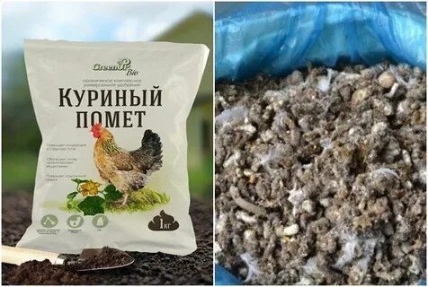 Куриный помет для смородины