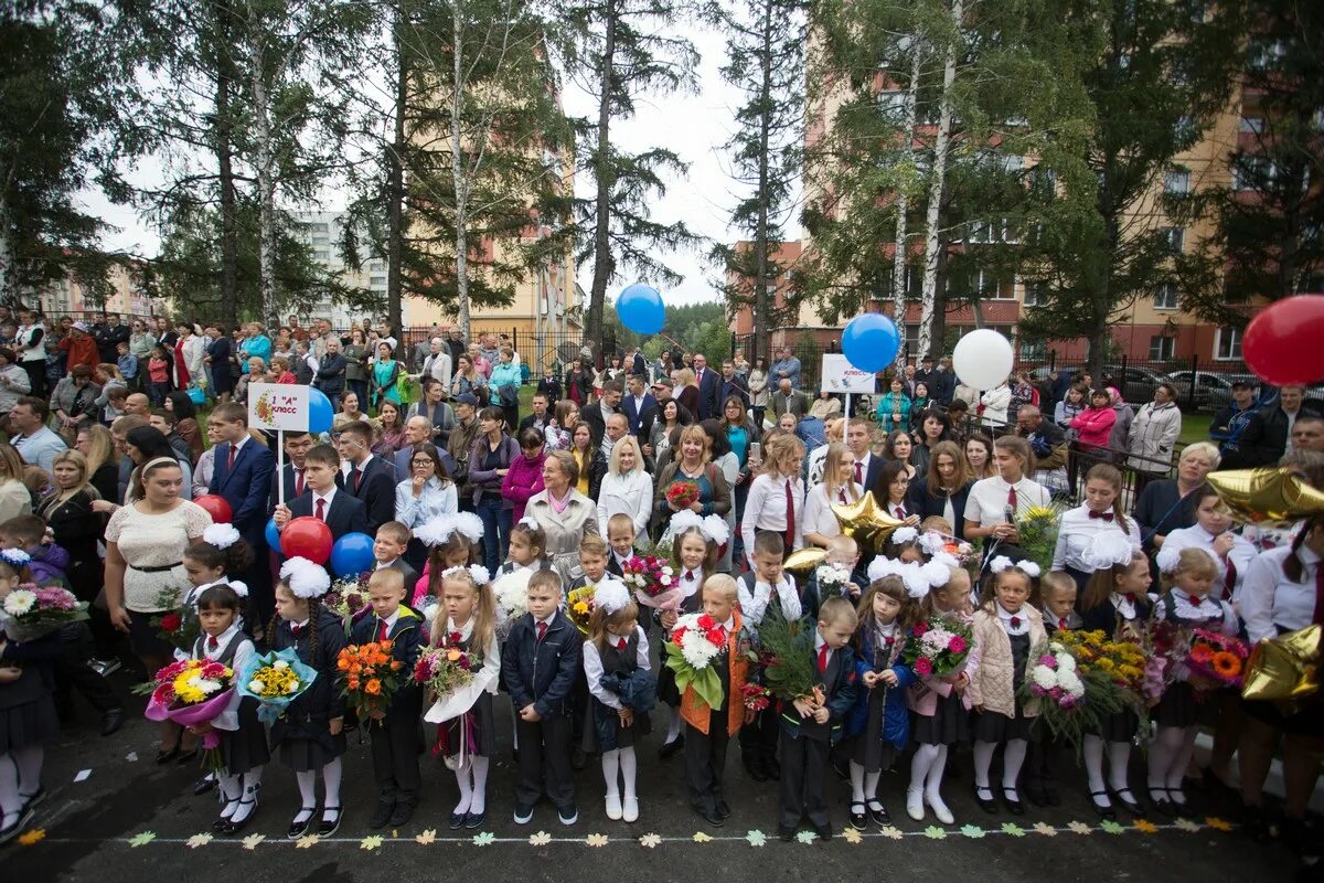 Школа 51 новосибирск. Школа 51 Стрижи. Школа 51 Новосибирск фото. МБОУ СОШ 51 Новосибирск учителя.