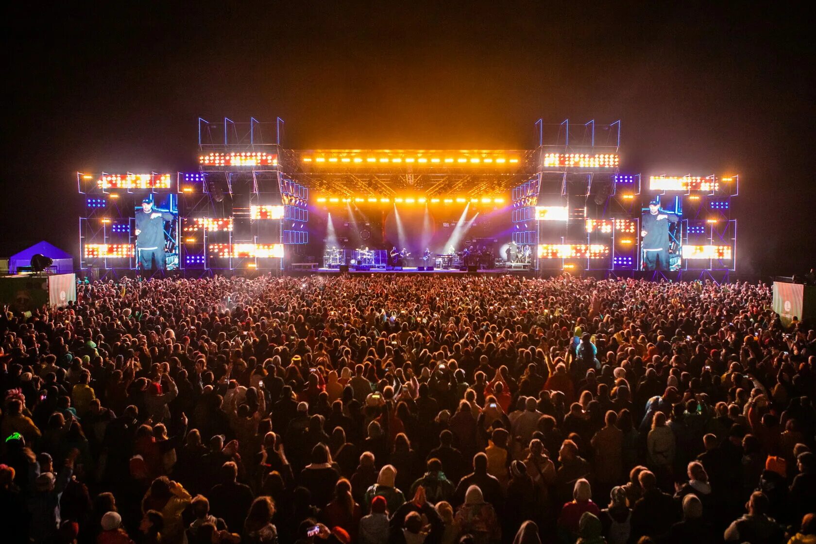 Фестиваль мята. Фестиваль мята. Фестиваль дикая мята 2021. Фестиваль мята. Фестиваль дикая мята 2019.