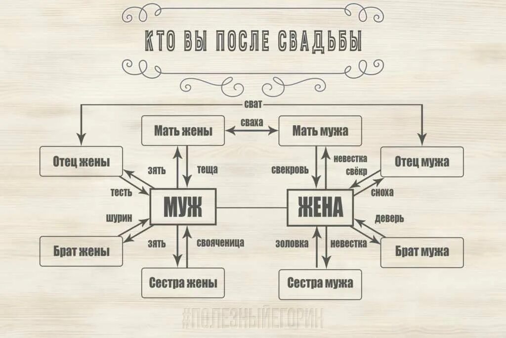 Кем приходится отец мужа отцу жены. Схема родственных связей. Схема родственных отношений в семье. Название родственных связей в семье.