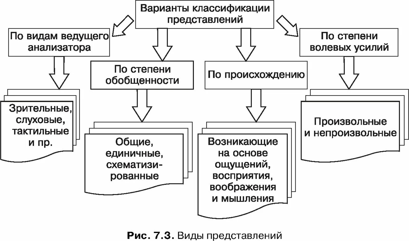 Образы представления и их виды