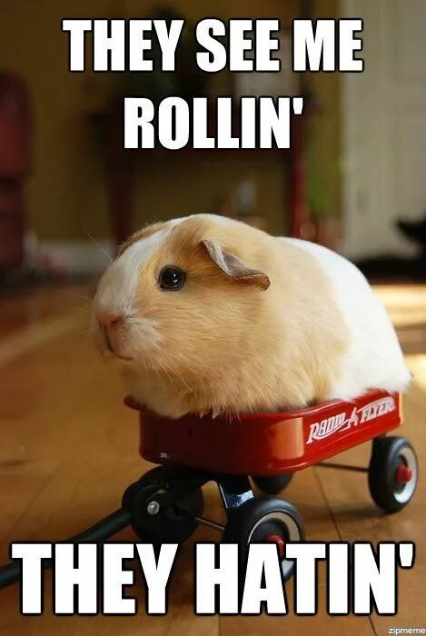 They see me rollin meme. Rolling meme. They see me rolling. Автомобиль see me rolling. They see me rolling клип с адом.