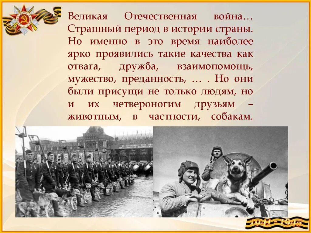 Почему не было великой отечественной. История Великой Отечественной войны. ВОВ В истории нашей страны. Страны воевавшие в ВОВ.