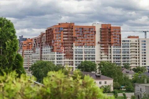 Г отрадное московская область