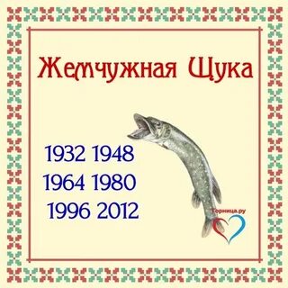Расписание щучий