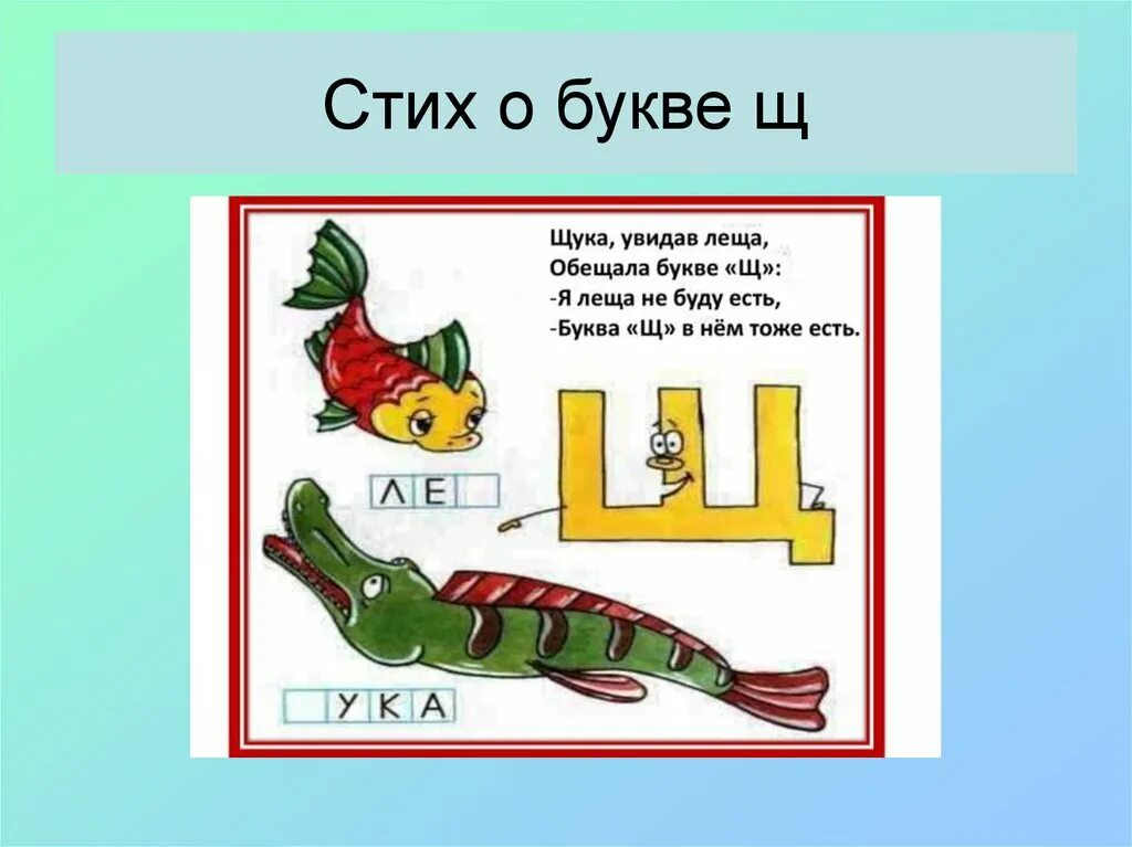 Буква щ презентация. Звук и буква щ презентация. Буква щ аппликация. Картинки на букву щ. Буква щука