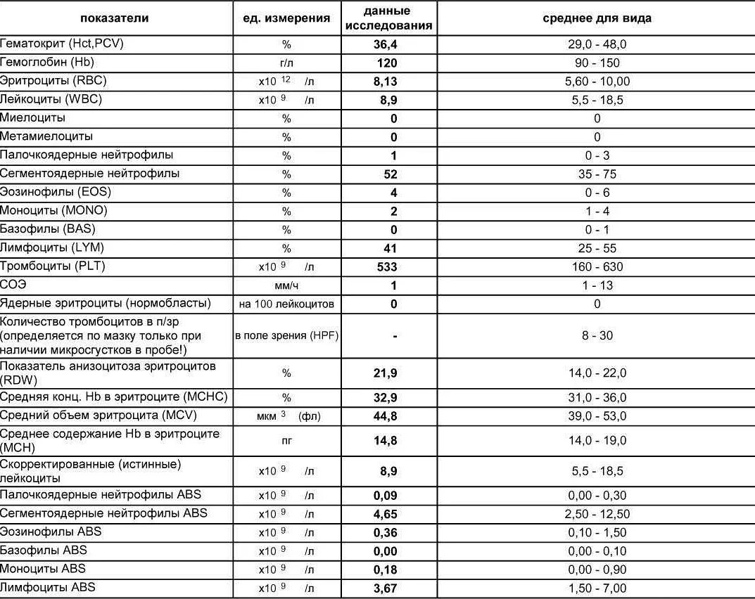 Среднее значение эритроцитов