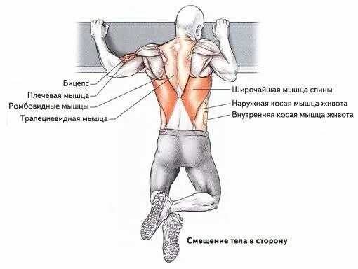 Мышцы работающие при ударе. Ромбовидная мышца упражнения. упражнения на ромбовидные мышцы спины. косые мышцы поясницы. косая мышца спины упражнения.