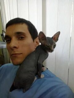 Ветеринар самара