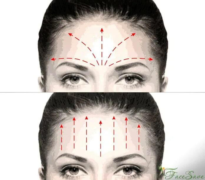 От морщин на лбу в домашних условиях. Массажные линии лба. Массажные линии лица схема. Массаж лица схема. Массажные линии на лице для массажа.