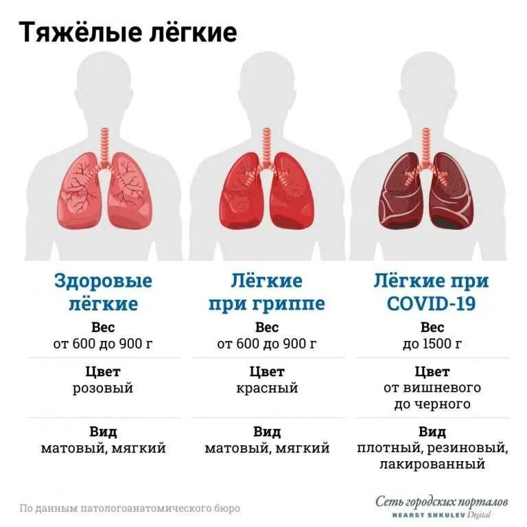 Синдром выжившего что это