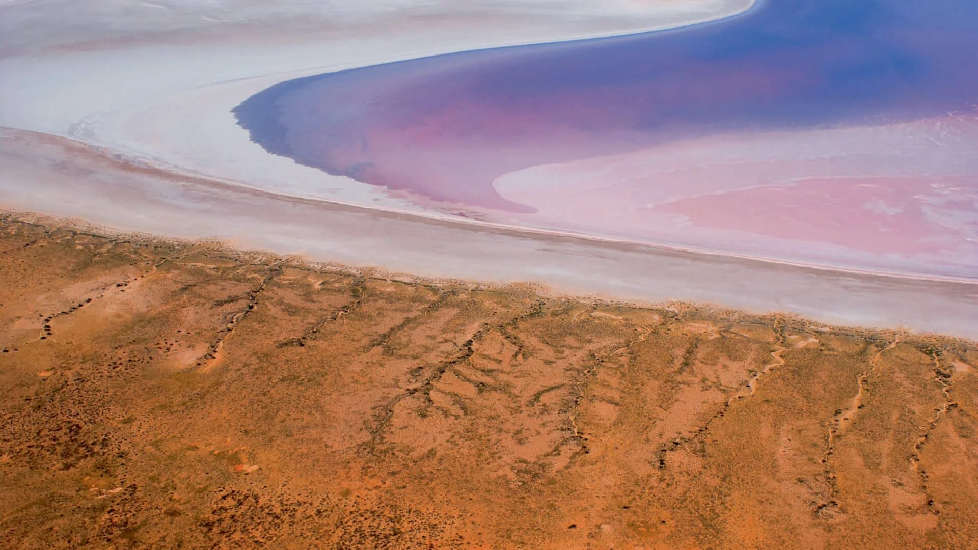 Озеро Эйр-Норт в Австралии. Озеро Eyre Австралия. Озеро эйернорд Австралия. Озеро (соленое) Эйр-Норт. Озеро эйр находится в