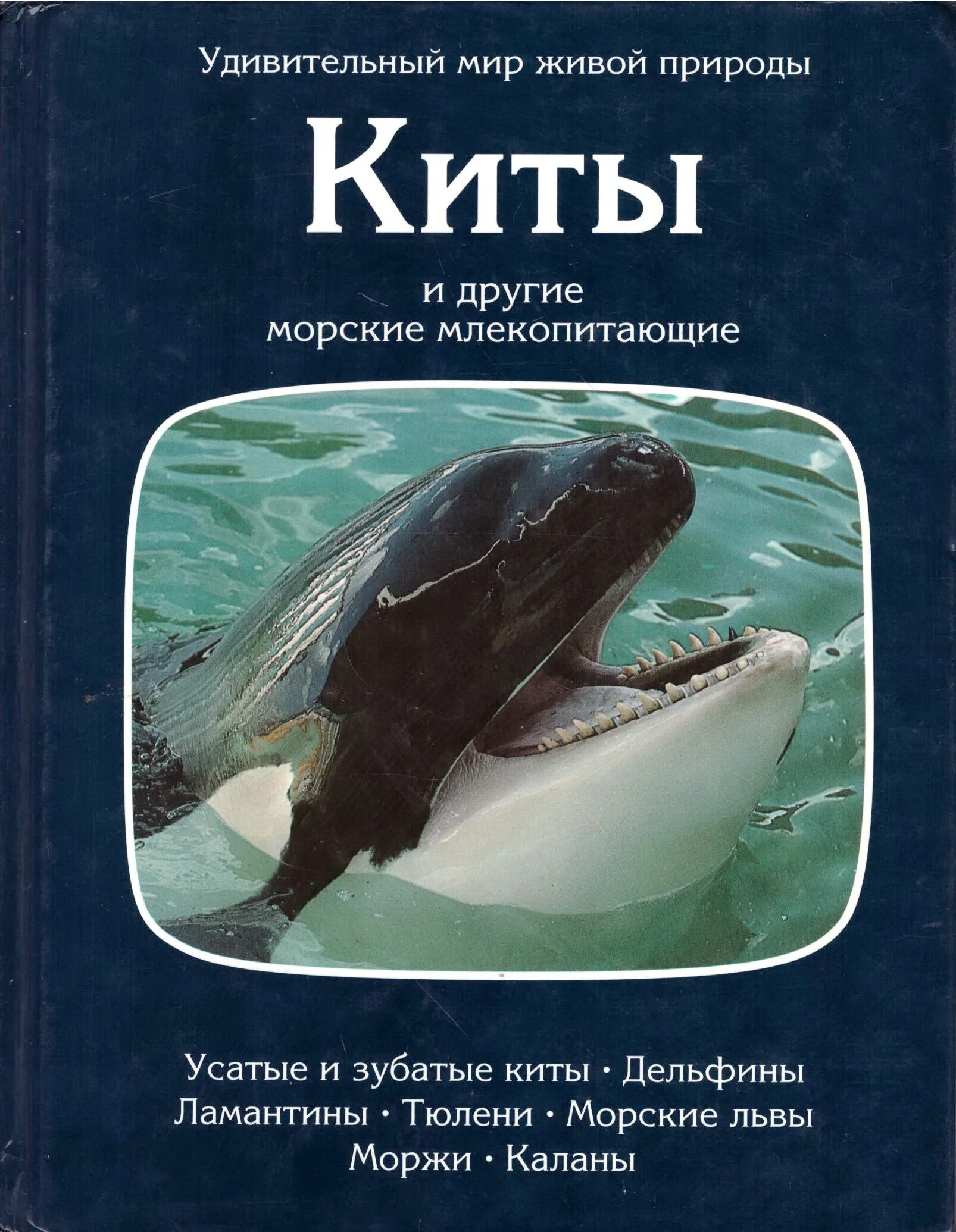 Книга про кита. Дозье киты и другие морские млекопитающие. Книга Дозье киты и другие морские млекопитающие. Книги про китов.