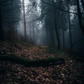 Полна тайн сумрачная