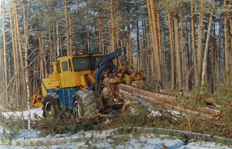Шелеховский леспромхоз ягодный. Малиновский леспромхоз хмао. Елка вектор. Деревня ладва карелия. Леспромхоз день работников леса архив.
