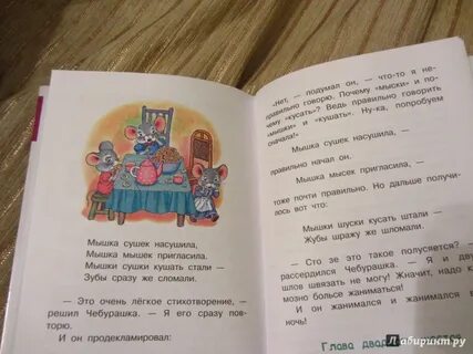 Мышка сушек насушила
