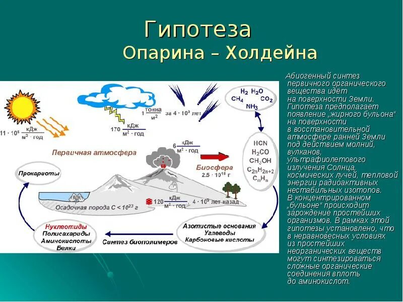 Биохимическая теория Опарина и Холдейна. Теория биохимической эволюции теория Опарин. Возникновение жизни на земле по теории Опарина. Гипотеза возникновения жизни на земле Опарина. В первичной атмосфере отсутствовал